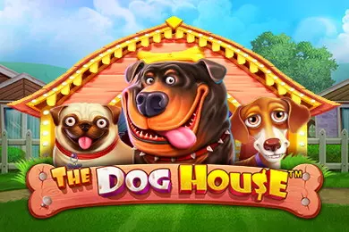 the dog house